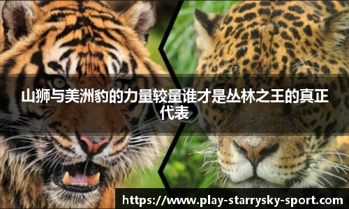 山狮与美洲豹的力量较量谁才是丛林之王的真正代表