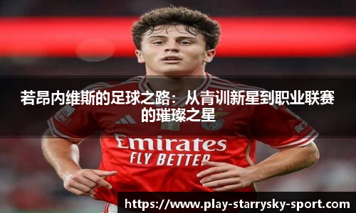 若昂内维斯的足球之路:从青训新星到职业联赛的璀璨之星
